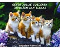 Geven jullie goederen en baten aan elkaar